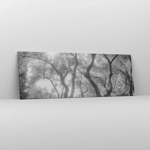 Bild auf Leinwand - Leinwandbild - Im Olivenhain - 140x50 cm