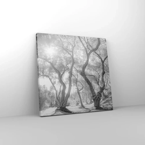 Bild auf Leinwand - Leinwandbild - Im Olivenhain - 30x30 cm