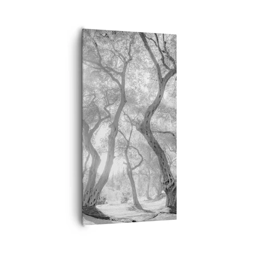Bild auf Leinwand - Leinwandbild - Im Olivenhain - 65x120 cm