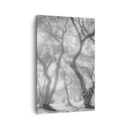 Bild auf Leinwand - Leinwandbild - Im Olivenhain - 80x120 cm