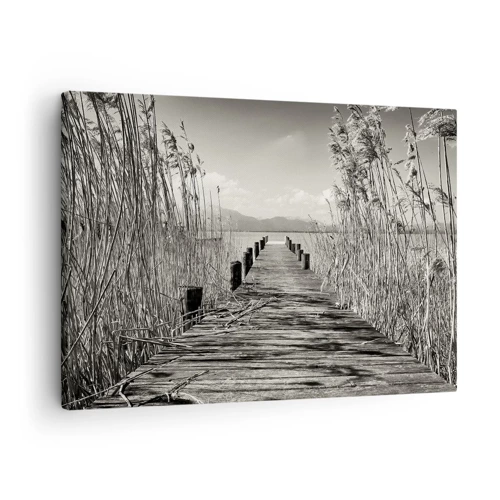Bild auf Leinwand - Leinwandbild - In der Stille des Grases - 70x50 cm