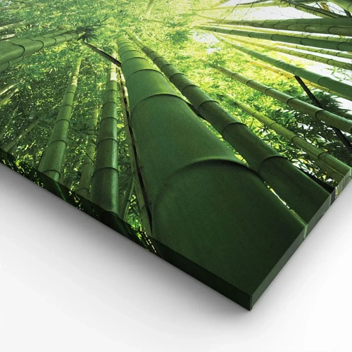 Bild auf Leinwand - Leinwandbild - In einem Bambushain - 100x40 cm