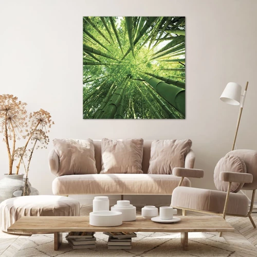 Bild auf Leinwand - Leinwandbild - In einem Bambushain - 50x50 cm