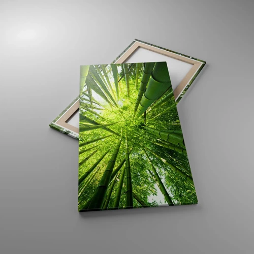 Bild auf Leinwand - Leinwandbild - In einem Bambushain - 55x100 cm