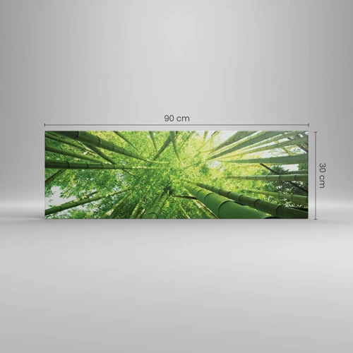 Bild auf Leinwand - Leinwandbild - In einem Bambushain - 90x30 cm