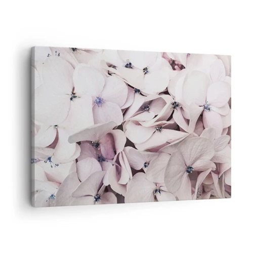 Bild auf Leinwand - Leinwandbild - In einer Blumenflut - 70x50 cm