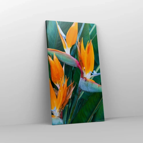 Bild auf Leinwand - Leinwandbild - Ist es eine Blume oder ist es ein Vogel? - 55x100 cm