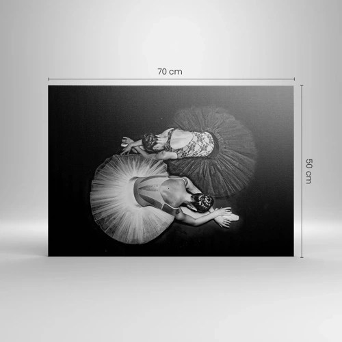 Bild auf Leinwand - Leinwandbild - Jin und Jang – perfekte Balance - 70x50 cm