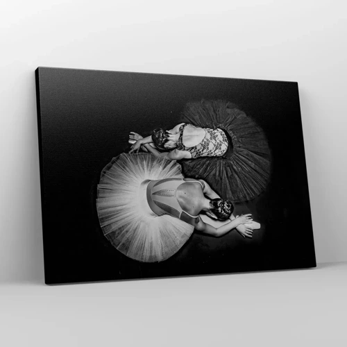 Bild auf Leinwand - Leinwandbild - Jin und Jang – perfekte Balance - 70x50 cm