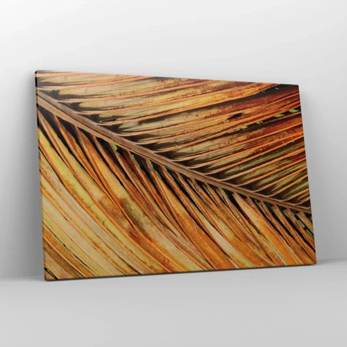 Bild auf Leinwand - Leinwandbild - Kokosnuss-Gold - 120x80 cm