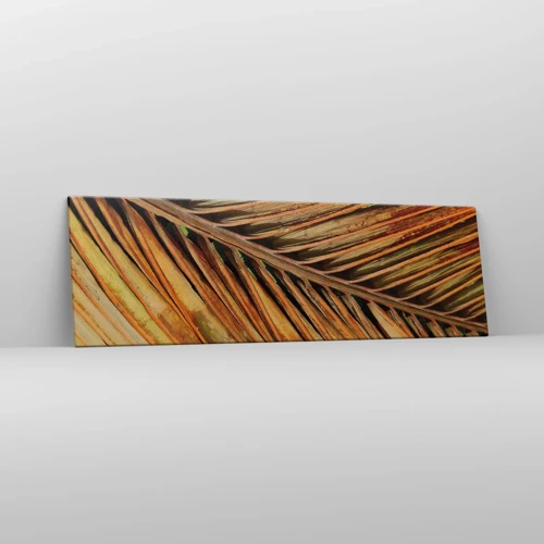 Bild auf Leinwand - Leinwandbild - Kokosnuss-Gold - 160x50 cm