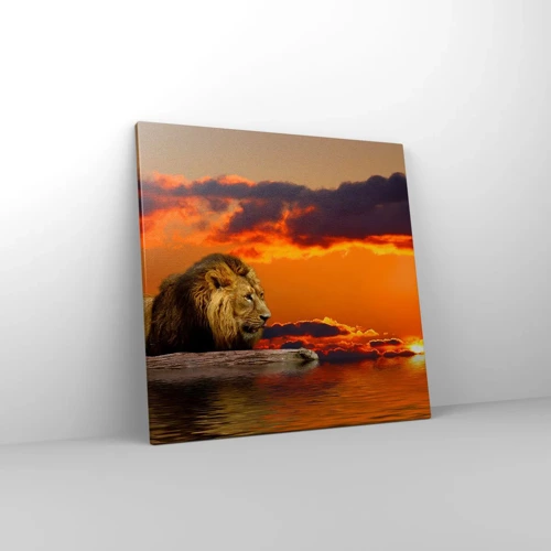 Bild auf Leinwand - Leinwandbild - König der Natur - 50x50 cm