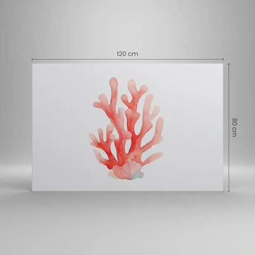Bild auf Leinwand - Leinwandbild - Korallenfarbene Koralle - 120x80 cm