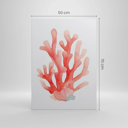 Bild auf Leinwand - Leinwandbild - Korallenfarbene Koralle - 50x70 cm