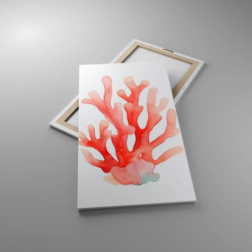 Bild auf Leinwand - Leinwandbild - Korallenfarbene Koralle - 55x100 cm