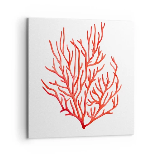Bild auf Leinwand - Leinwandbild - Korallenfiligran - 50x50 cm
