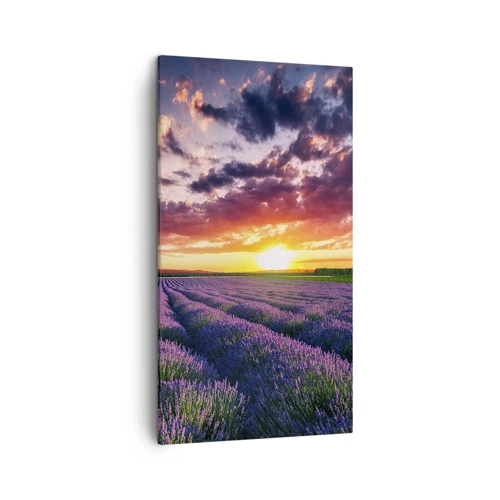 Bild auf Leinwand - Leinwandbild - Lavendel Welt - 45x80 cm