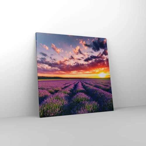 Bild auf Leinwand - Leinwandbild - Lavendel Welt - 70x70 cm