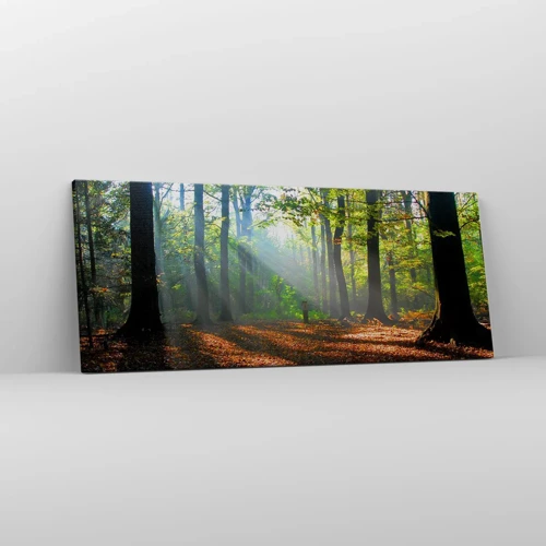 Bild auf Leinwand - Leinwandbild - Licht und Schatten - 100x40 cm