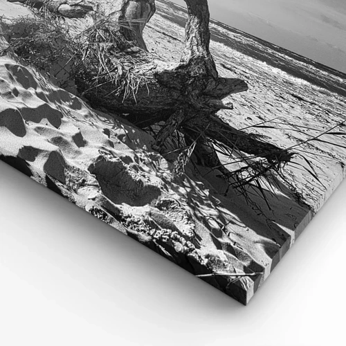 Bild auf Leinwand - Leinwandbild - Meeresskulptur - 30x30 cm