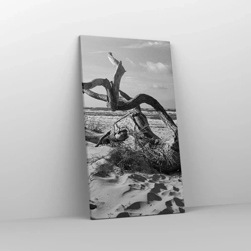 Bild auf Leinwand - Leinwandbild - Meeresskulptur - 45x80 cm