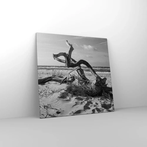 Bild auf Leinwand - Leinwandbild - Meeresskulptur - 70x70 cm