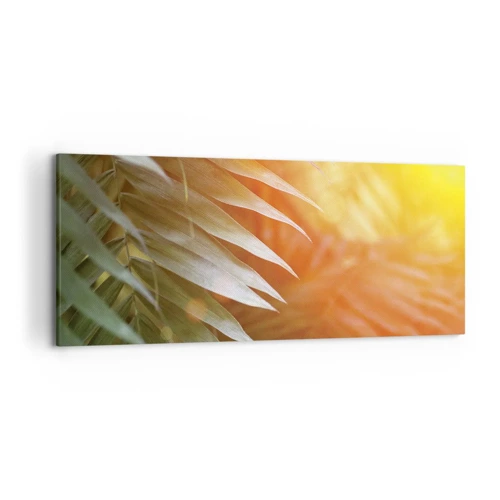 Bild auf Leinwand - Leinwandbild - Morgen im Dschungel - 120x50 cm
