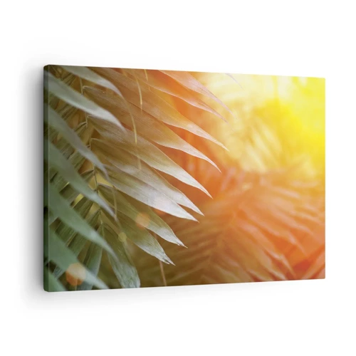 Bild auf Leinwand - Leinwandbild - Morgen im Dschungel - 70x50 cm