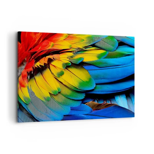 Bild auf Leinwand - Leinwandbild - Paradiesvogel - 100x70 cm