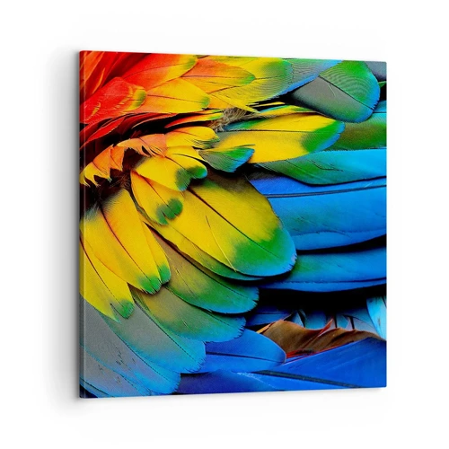 Bild auf Leinwand - Leinwandbild - Paradiesvogel - 60x60 cm