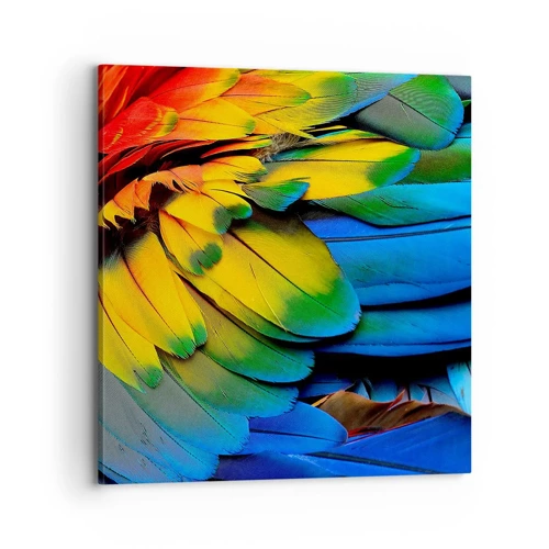 Bild auf Leinwand - Leinwandbild - Paradiesvogel - 70x70 cm
