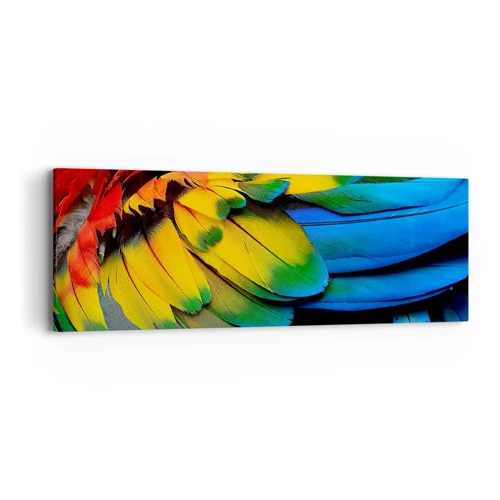 Bild auf Leinwand - Leinwandbild - Paradiesvogel - 90x30 cm