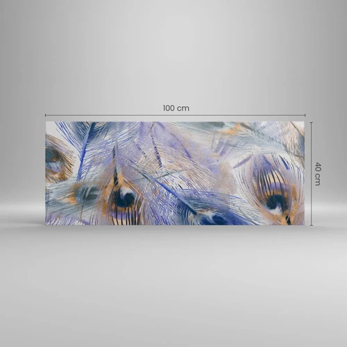 Bild auf Leinwand - Leinwandbild - Pfau-Komposition - 100x40 cm