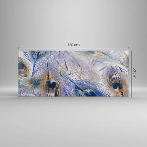 Bild auf Leinwand - Leinwandbild - Pfau-Komposition - 120x50 cm