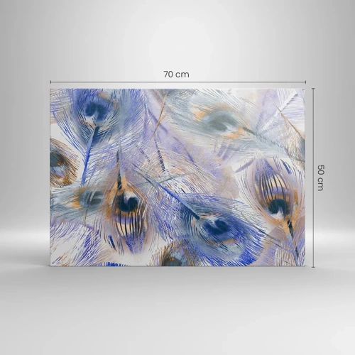 Bild auf Leinwand - Leinwandbild - Pfau-Komposition - 70x50 cm