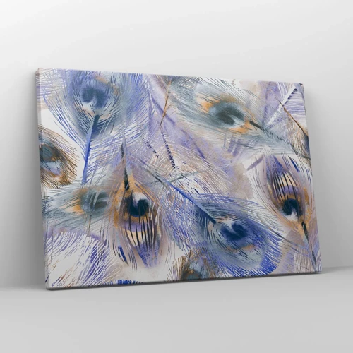 Bild auf Leinwand - Leinwandbild - Pfau-Komposition - 70x50 cm