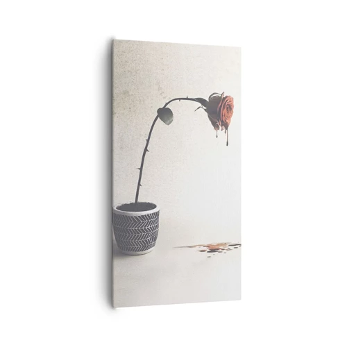 Bild auf Leinwand - Leinwandbild - Rosa dolorosa - 65x120 cm