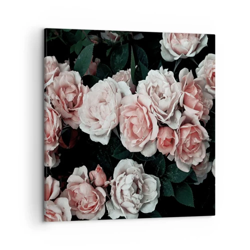 Bild auf Leinwand - Leinwandbild - Rosen-Ensemble - 50x50 cm