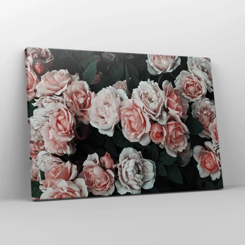 Bild auf Leinwand - Leinwandbild - Rosen-Ensemble - 70x50 cm