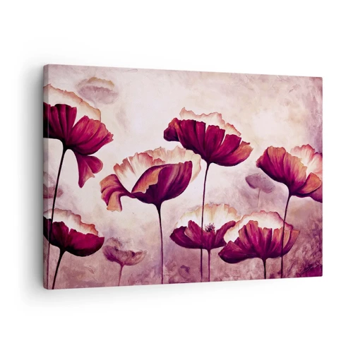 Bild auf Leinwand - Leinwandbild - Rotes und weißes Blütenblatt - 70x50 cm