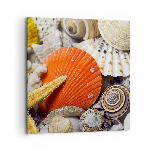 Bild auf Leinwand - Leinwandbild - Schätze des Ozeans - 50x50 cm