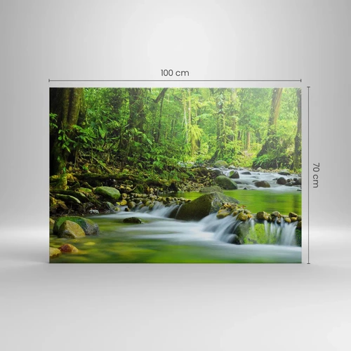 Bild auf Leinwand - Leinwandbild - Schwimmen Sie in einem Meer aus Grün - 100x70 cm