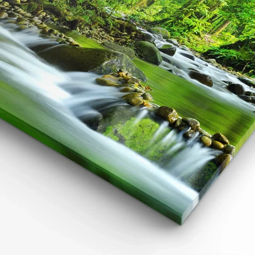 Bild auf Leinwand - Leinwandbild - Schwimmen Sie in einem Meer aus Grün - 30x30 cm