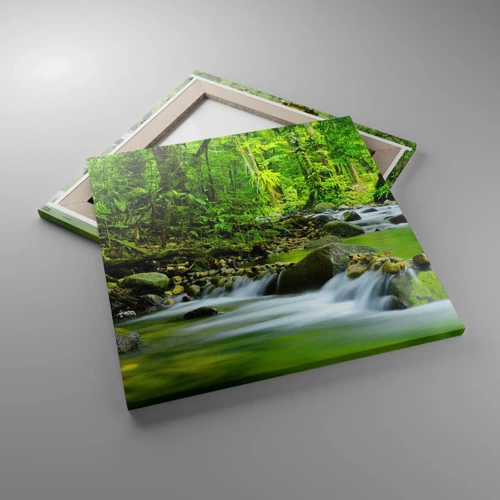 Bild auf Leinwand - Leinwandbild - Schwimmen Sie in einem Meer aus Grün - 50x50 cm