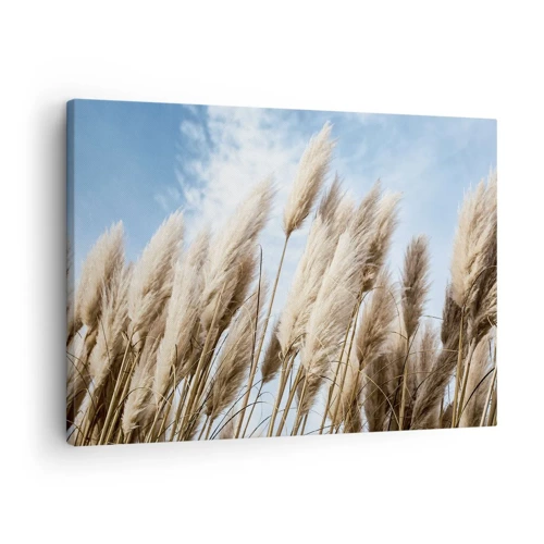 Bild auf Leinwand - Leinwandbild - Sonnige und windige Liebkosungen - 70x50 cm