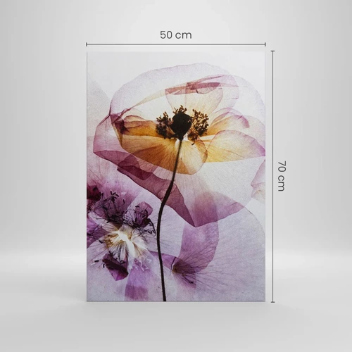 Bild auf Leinwand - Leinwandbild - Transparente Körperblumen - 50x70 cm
