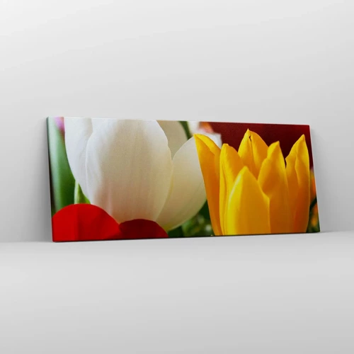 Bild auf Leinwand - Leinwandbild - Tulpenfieber - 100x40 cm