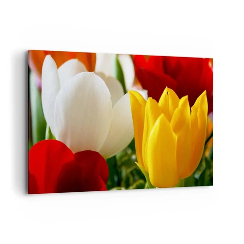 Bild auf Leinwand - Leinwandbild - Tulpenfieber - 120x80 cm