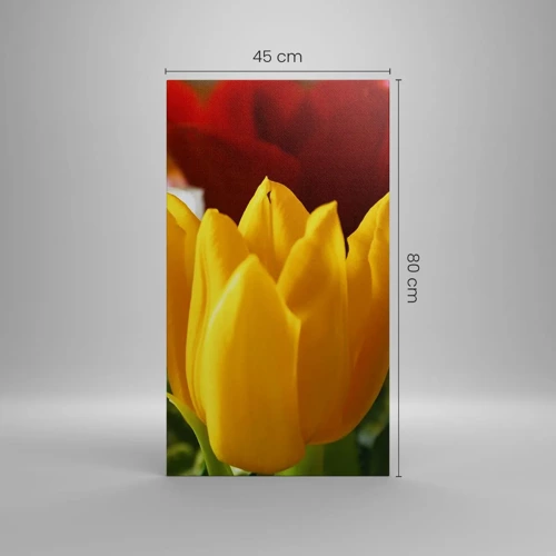Bild auf Leinwand - Leinwandbild - Tulpenfieber - 45x80 cm