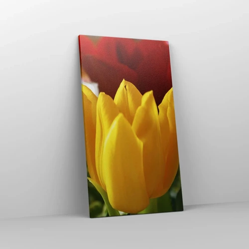 Bild auf Leinwand - Leinwandbild - Tulpenfieber - 45x80 cm